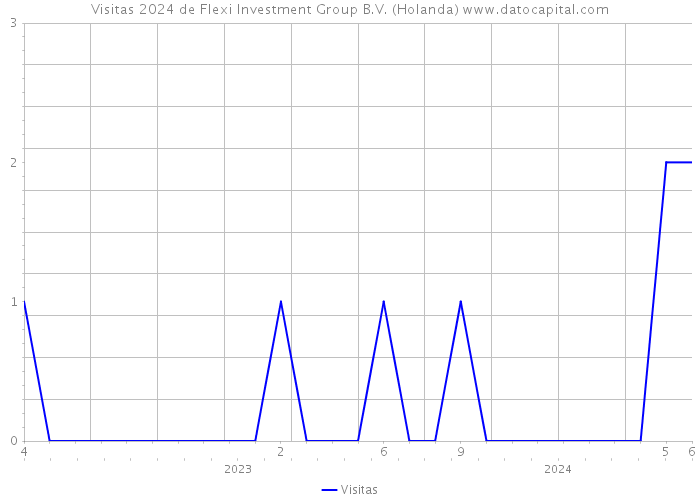 Visitas 2024 de Flexi Investment Group B.V. (Holanda) 