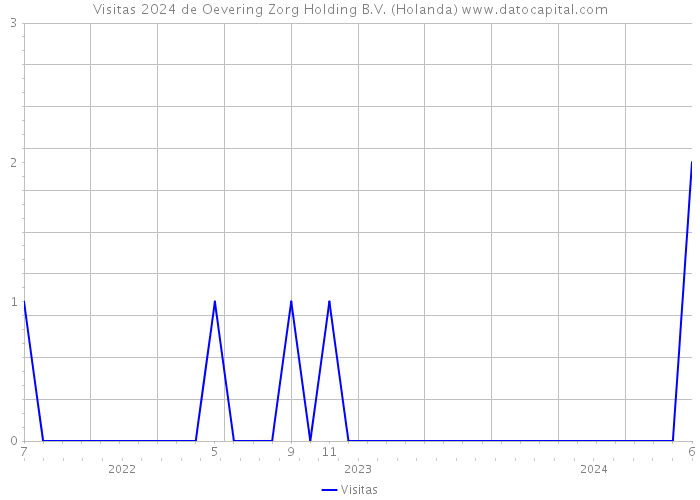 Visitas 2024 de Oevering Zorg Holding B.V. (Holanda) 