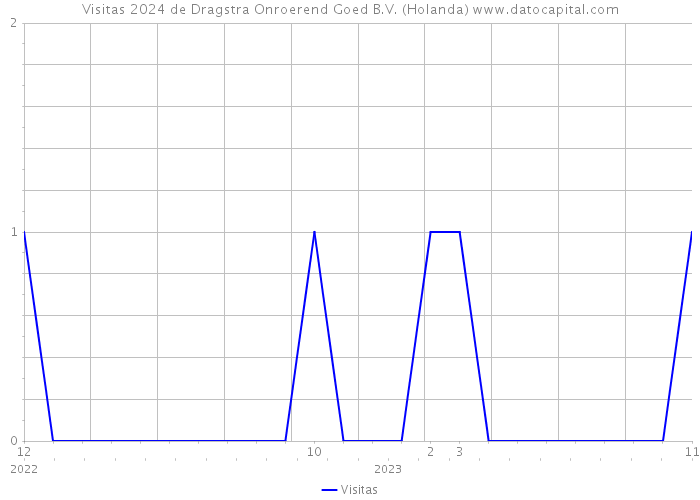 Visitas 2024 de Dragstra Onroerend Goed B.V. (Holanda) 