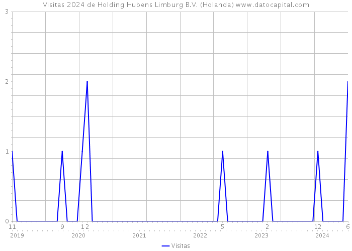 Visitas 2024 de Holding Hubens Limburg B.V. (Holanda) 