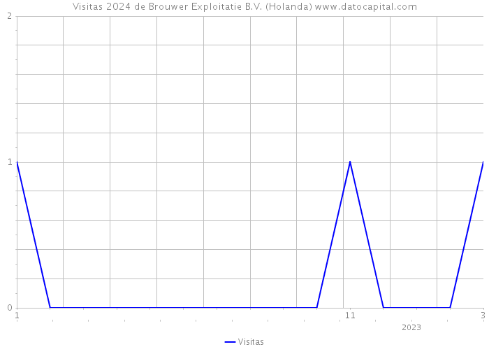 Visitas 2024 de Brouwer Exploitatie B.V. (Holanda) 