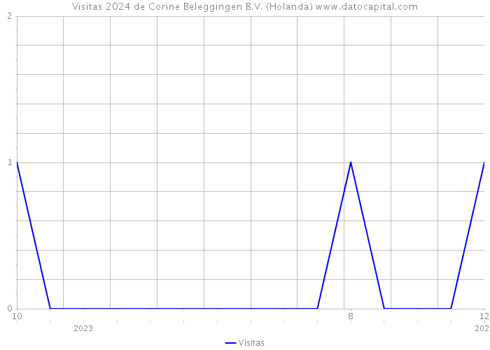 Visitas 2024 de Corine Beleggingen B.V. (Holanda) 