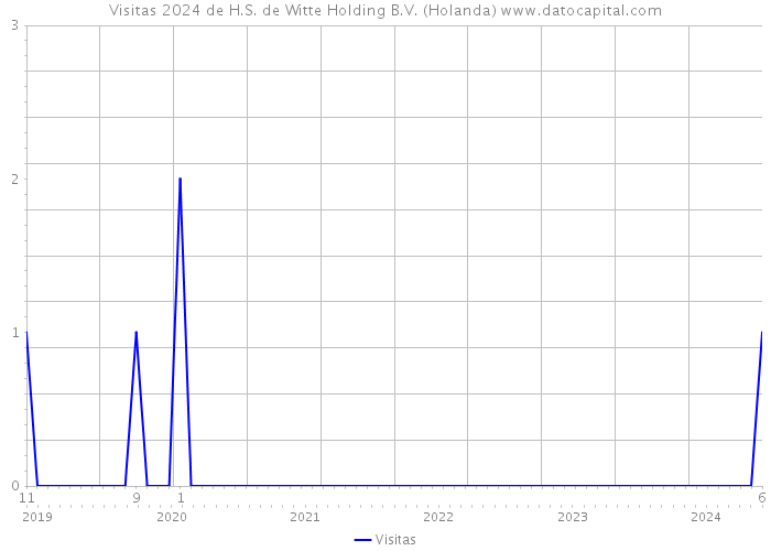 Visitas 2024 de H.S. de Witte Holding B.V. (Holanda) 