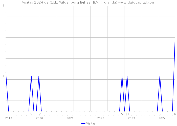 Visitas 2024 de G.J.E. Wildenborg Beheer B.V. (Holanda) 