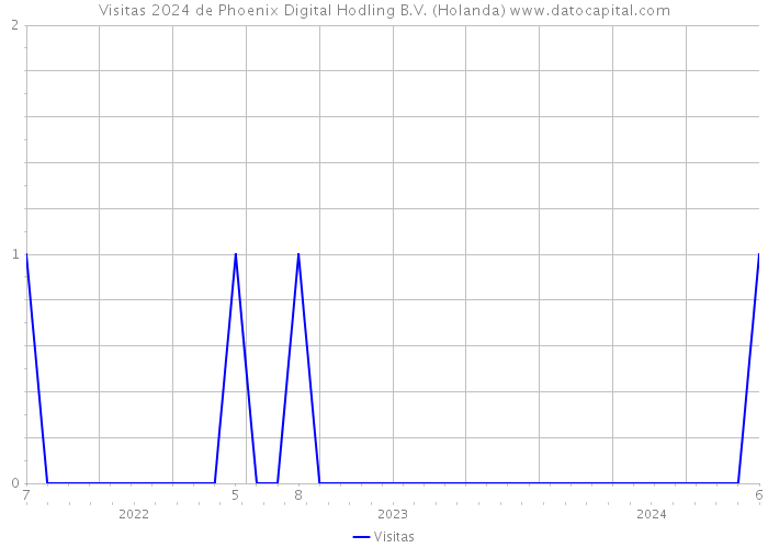 Visitas 2024 de Phoenix Digital Hodling B.V. (Holanda) 