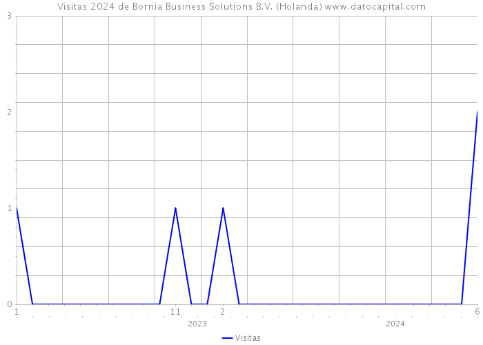 Visitas 2024 de Bornia Business Solutions B.V. (Holanda) 