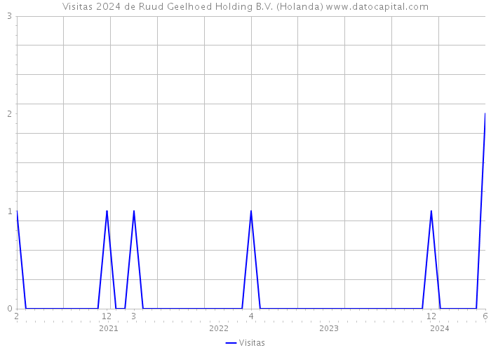 Visitas 2024 de Ruud Geelhoed Holding B.V. (Holanda) 