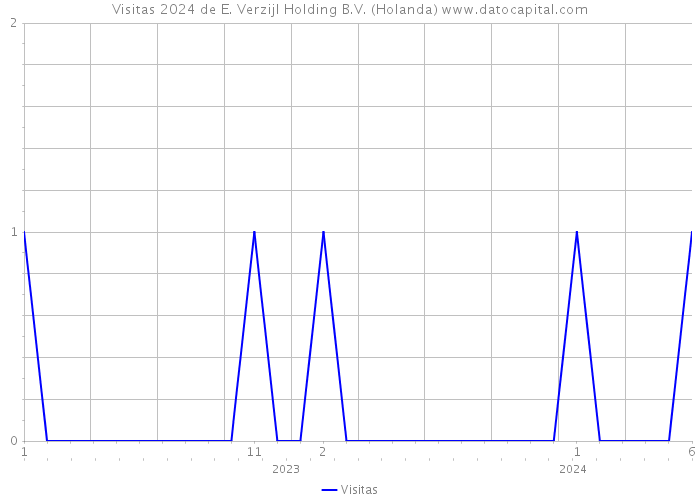 Visitas 2024 de E. Verzijl Holding B.V. (Holanda) 