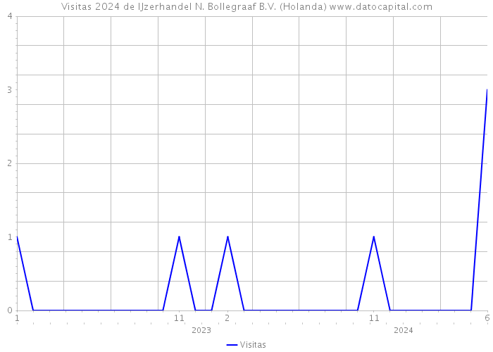 Visitas 2024 de IJzerhandel N. Bollegraaf B.V. (Holanda) 