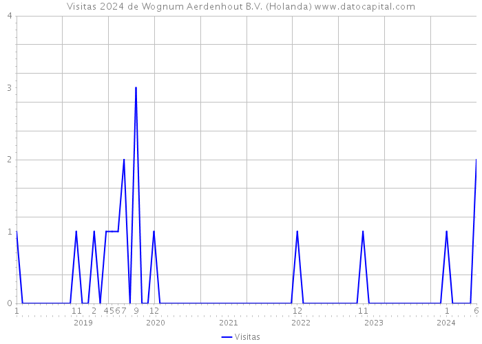 Visitas 2024 de Wognum Aerdenhout B.V. (Holanda) 