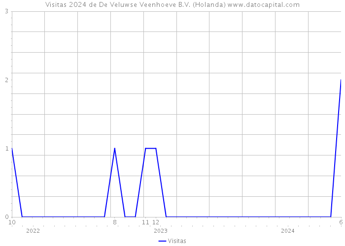 Visitas 2024 de De Veluwse Veenhoeve B.V. (Holanda) 