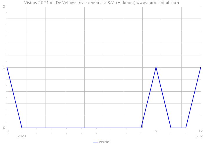 Visitas 2024 de De Veluwe Investments IX B.V. (Holanda) 