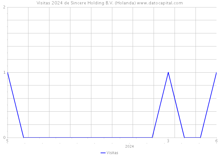 Visitas 2024 de Sincere Holding B.V. (Holanda) 