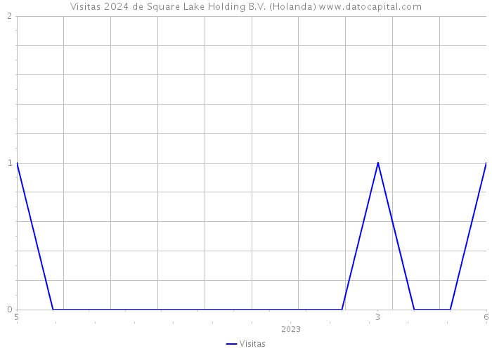 Visitas 2024 de Square Lake Holding B.V. (Holanda) 