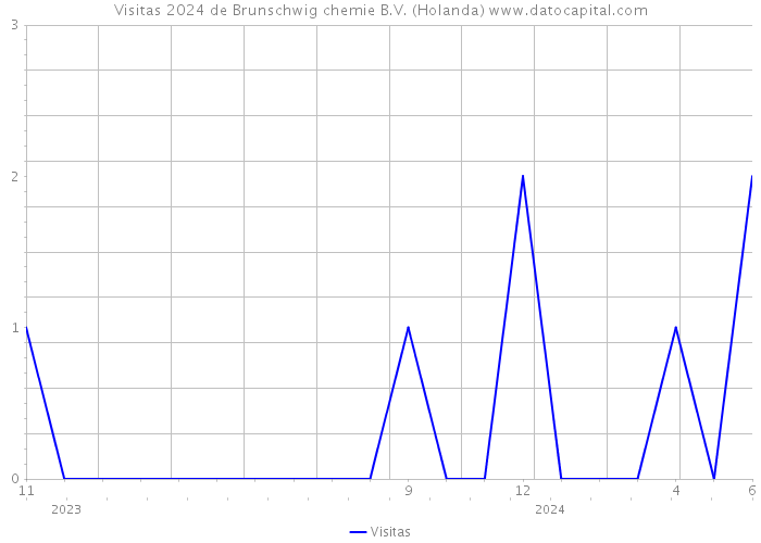 Visitas 2024 de Brunschwig chemie B.V. (Holanda) 