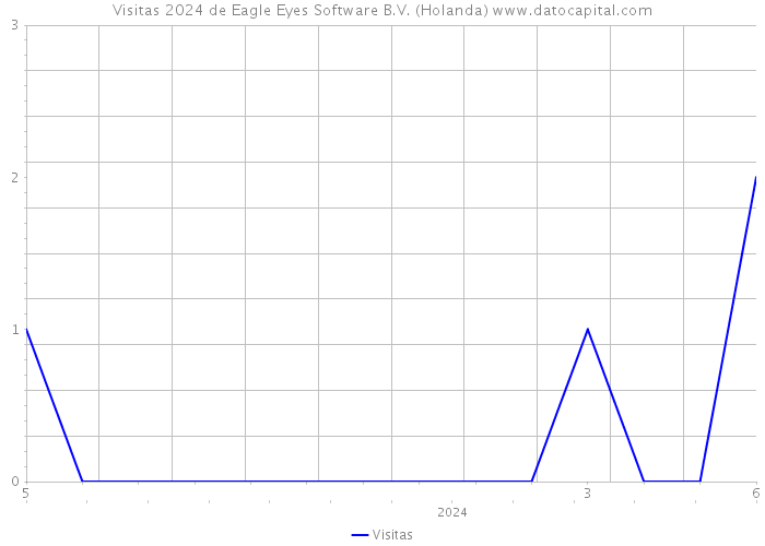 Visitas 2024 de Eagle Eyes Software B.V. (Holanda) 