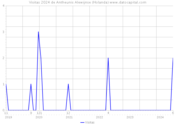 Visitas 2024 de Antheunis Alewijnse (Holanda) 