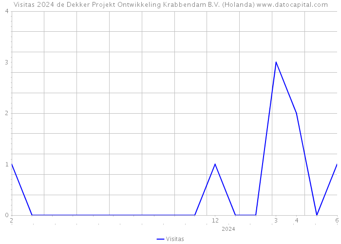 Visitas 2024 de Dekker Projekt Ontwikkeling Krabbendam B.V. (Holanda) 