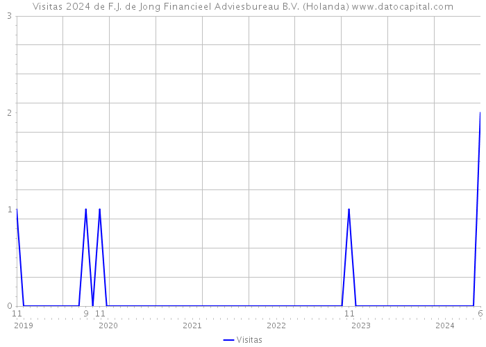 Visitas 2024 de F.J. de Jong Financieel Adviesbureau B.V. (Holanda) 