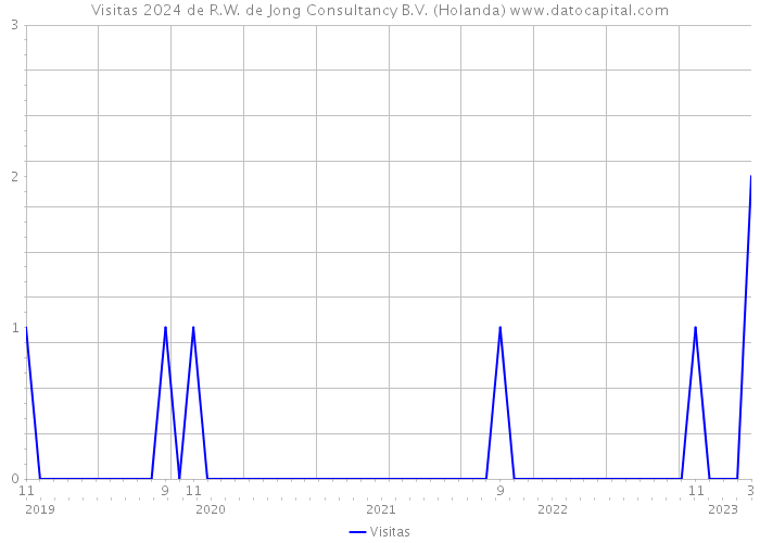 Visitas 2024 de R.W. de Jong Consultancy B.V. (Holanda) 