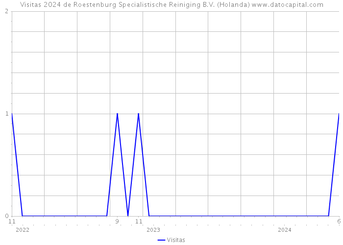 Visitas 2024 de Roestenburg Specialistische Reiniging B.V. (Holanda) 