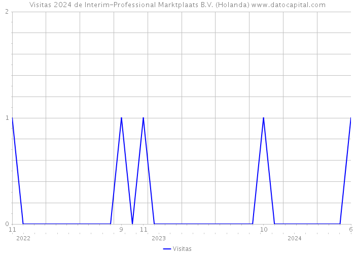 Visitas 2024 de Interim-Professional Marktplaats B.V. (Holanda) 