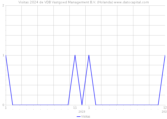 Visitas 2024 de VDB Vastgoed Management B.V. (Holanda) 