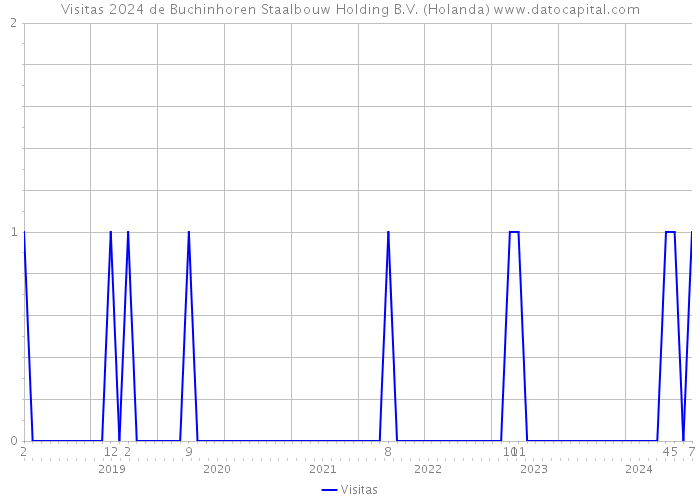 Visitas 2024 de Buchinhoren Staalbouw Holding B.V. (Holanda) 