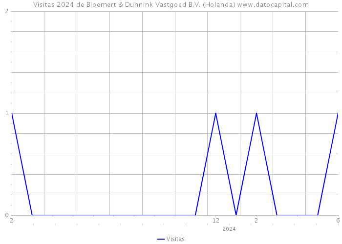 Visitas 2024 de Bloemert & Dunnink Vastgoed B.V. (Holanda) 