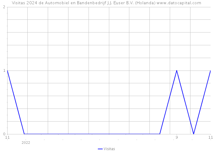 Visitas 2024 de Automobiel en Bandenbedrijf J.J. Euser B.V. (Holanda) 