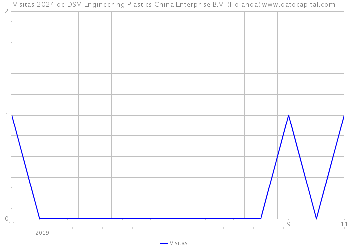 Visitas 2024 de DSM Engineering Plastics China Enterprise B.V. (Holanda) 