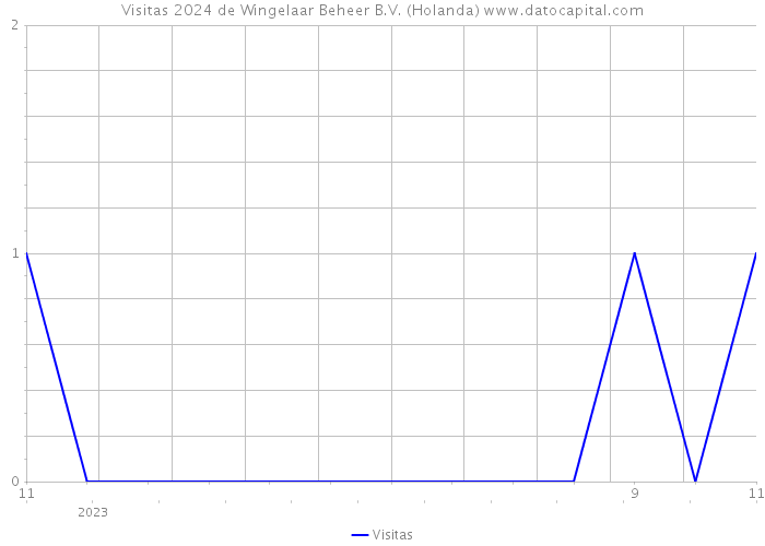 Visitas 2024 de Wingelaar Beheer B.V. (Holanda) 