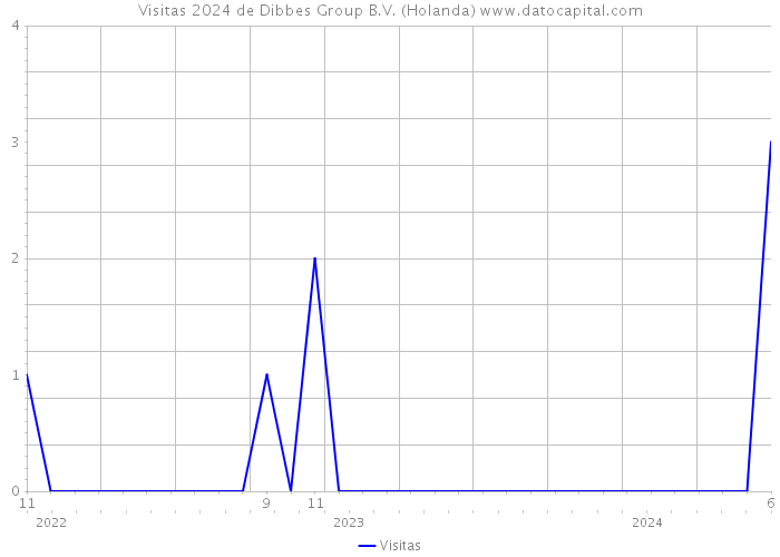 Visitas 2024 de Dibbes Group B.V. (Holanda) 