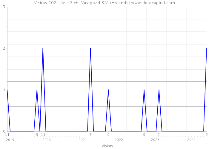 Visitas 2024 de 't Zicht Vastgoed B.V. (Holanda) 