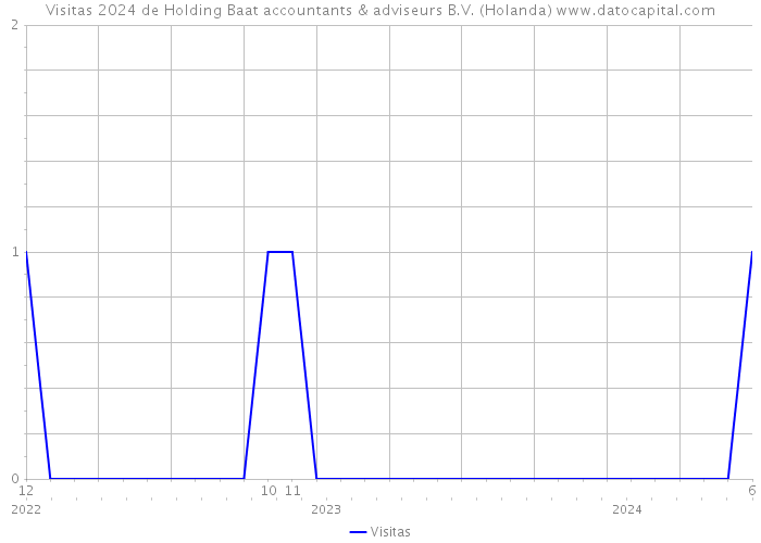 Visitas 2024 de Holding Baat accountants & adviseurs B.V. (Holanda) 