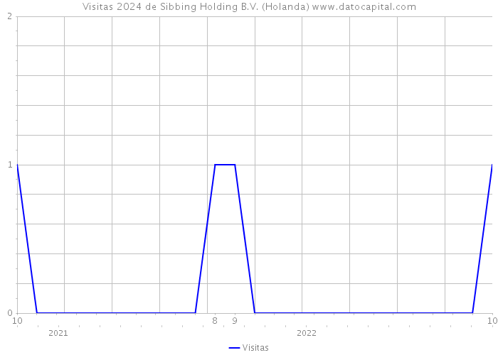 Visitas 2024 de Sibbing Holding B.V. (Holanda) 