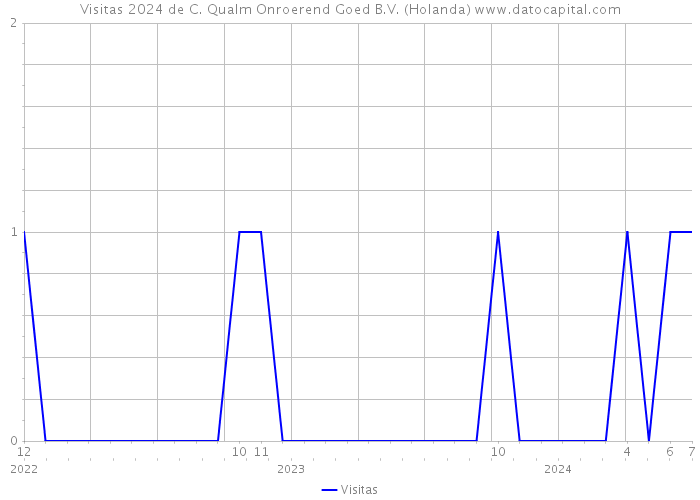 Visitas 2024 de C. Qualm Onroerend Goed B.V. (Holanda) 