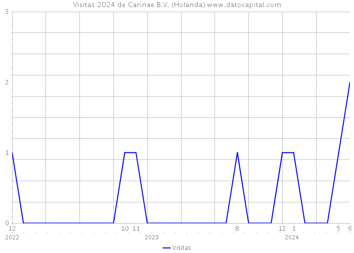 Visitas 2024 de Carinae B.V. (Holanda) 