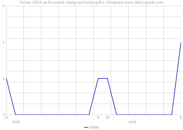 Visitas 2024 de Roordink Vastgoed Holding B.V. (Holanda) 