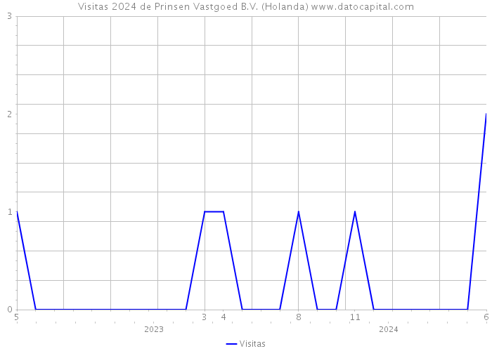 Visitas 2024 de Prinsen Vastgoed B.V. (Holanda) 