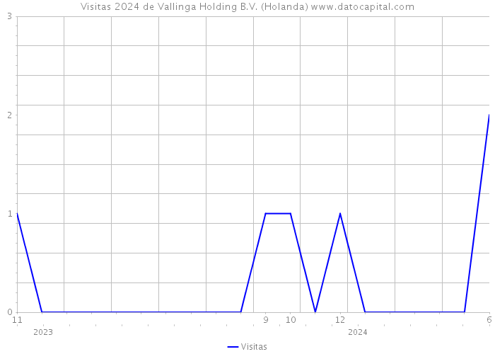 Visitas 2024 de Vallinga Holding B.V. (Holanda) 