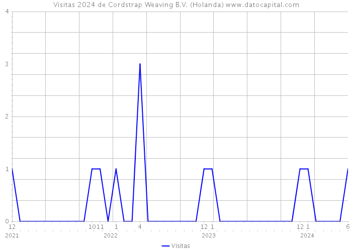 Visitas 2024 de Cordstrap Weaving B.V. (Holanda) 