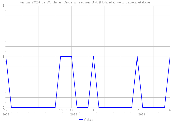 Visitas 2024 de Woldman Onderwijsadvies B.V. (Holanda) 