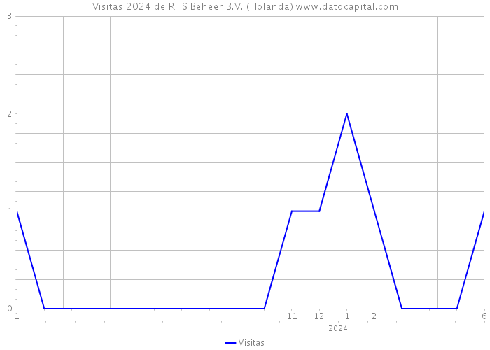 Visitas 2024 de RHS Beheer B.V. (Holanda) 