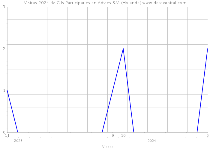 Visitas 2024 de Gils Participaties en Advies B.V. (Holanda) 