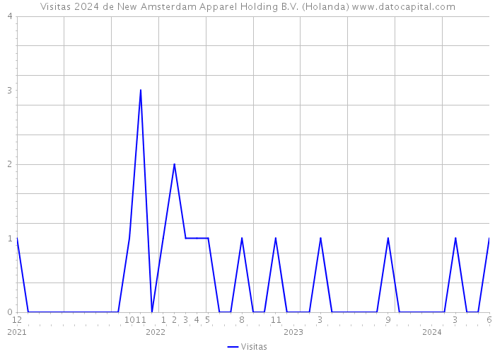 Visitas 2024 de New Amsterdam Apparel Holding B.V. (Holanda) 