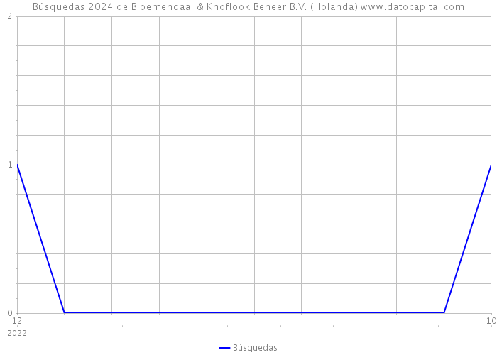 Búsquedas 2024 de Bloemendaal & Knoflook Beheer B.V. (Holanda) 