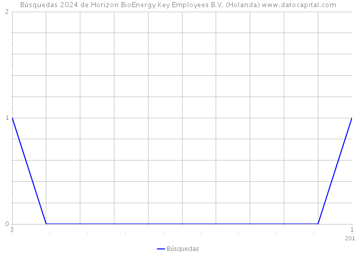 Búsquedas 2024 de Horizon BioEnergy Key Employees B.V. (Holanda) 