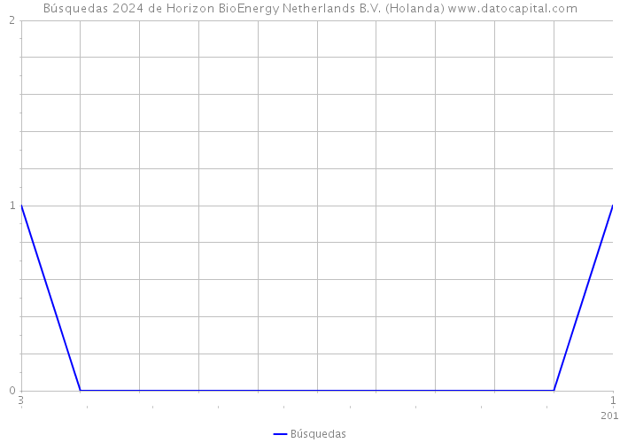 Búsquedas 2024 de Horizon BioEnergy Netherlands B.V. (Holanda) 