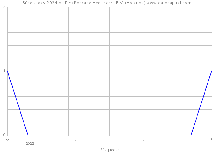 Búsquedas 2024 de PinkRoccade Healthcare B.V. (Holanda) 